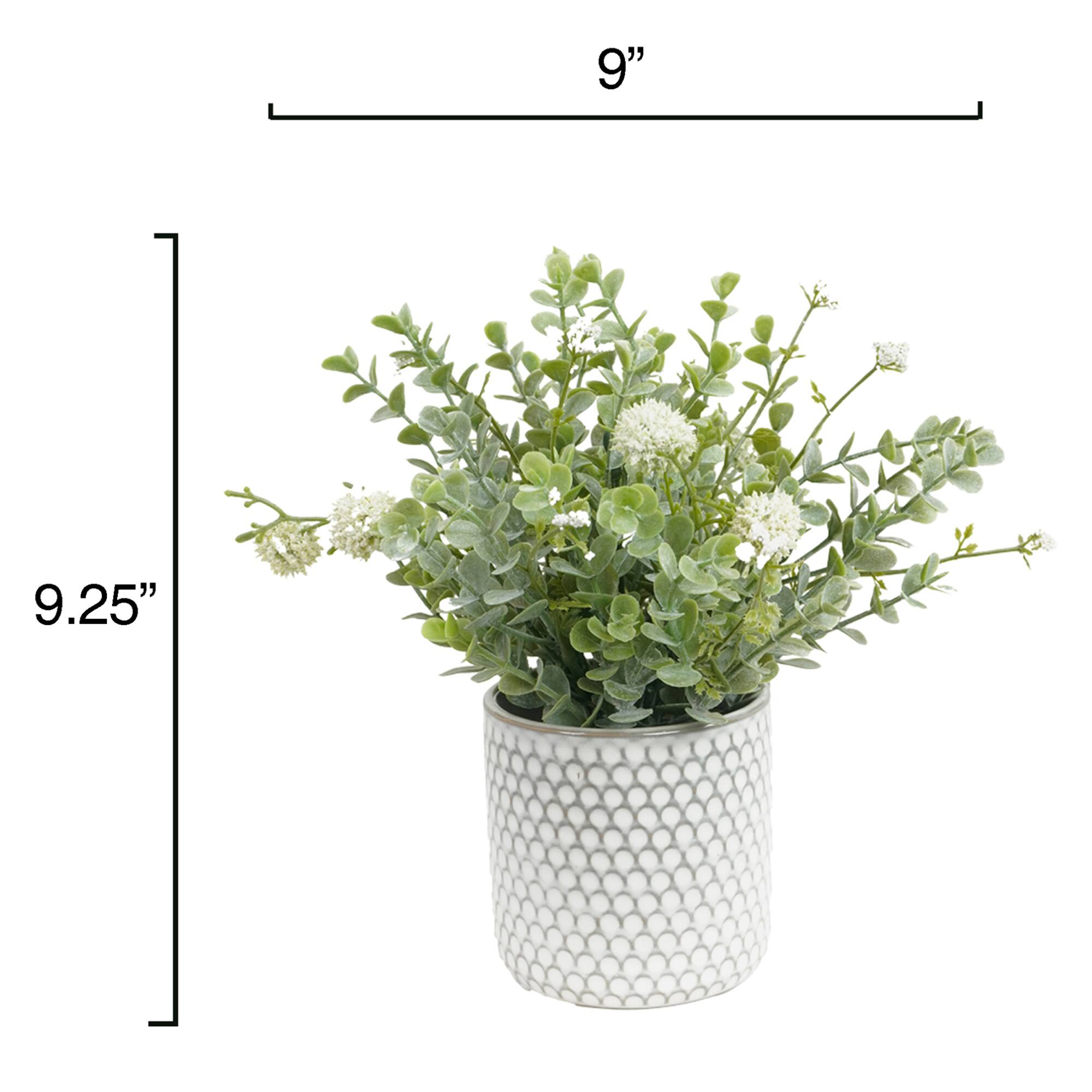 9.25" Premade Eucalyptus in Dotted Ceramic Pot by Ashland®